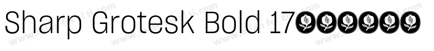 Sharp Grotesk Bold 17字体转换